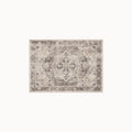 Kamran Hazel Rug 3x5